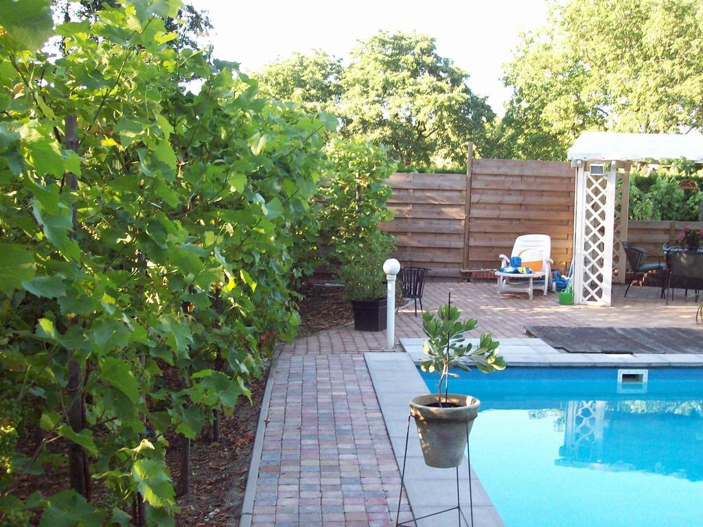 Vakantie Appartementen Engelen Stevensweert Номер фото