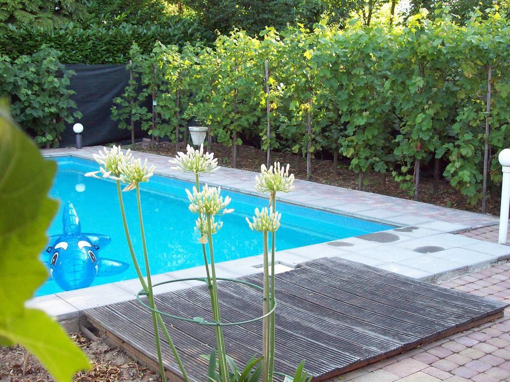 Vakantie Appartementen Engelen Stevensweert Екстер'єр фото